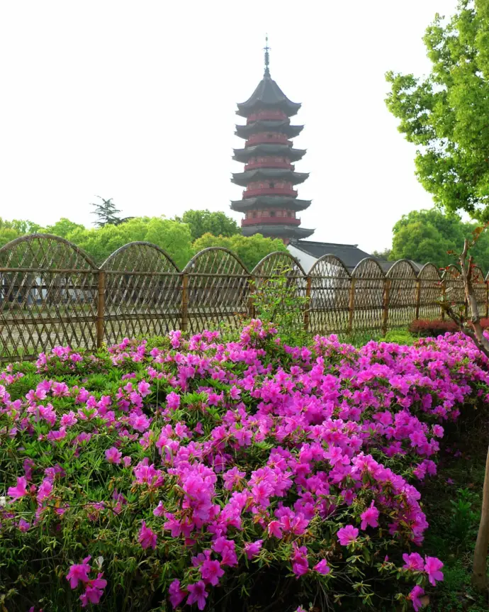 瑞光塔