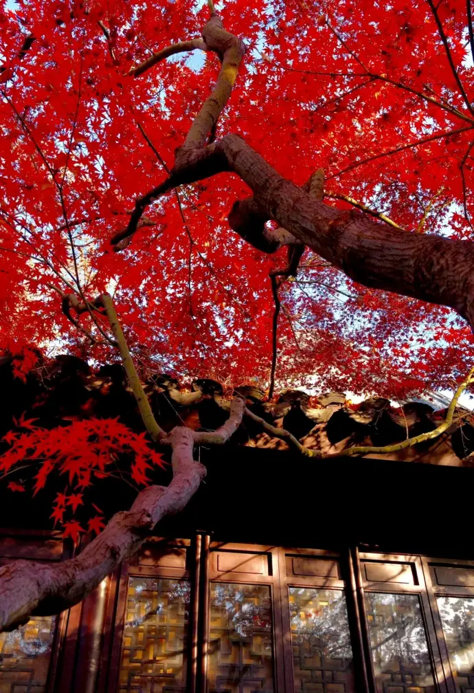 秋天