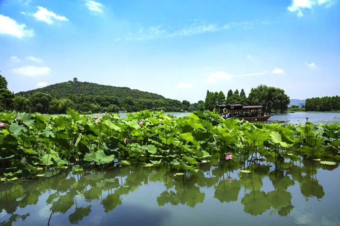 鼋头渚夏