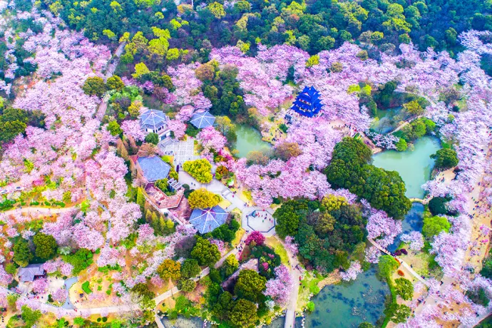 鼋头渚