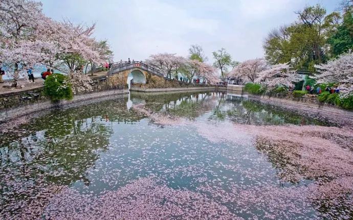 鼋头渚