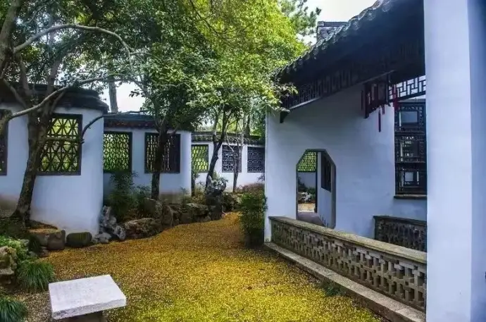 桂花