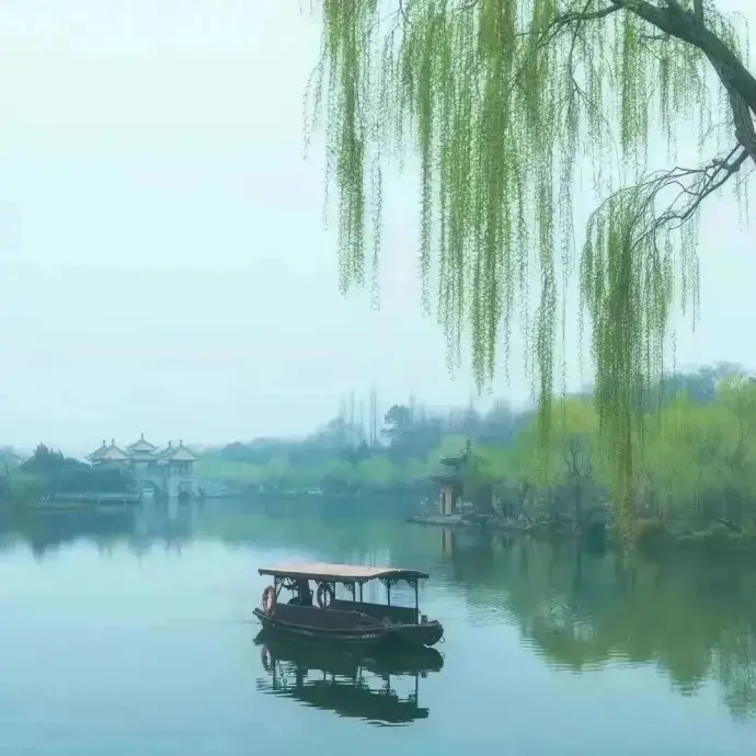 长堤春柳