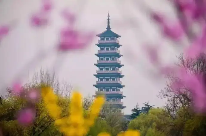 栖灵塔