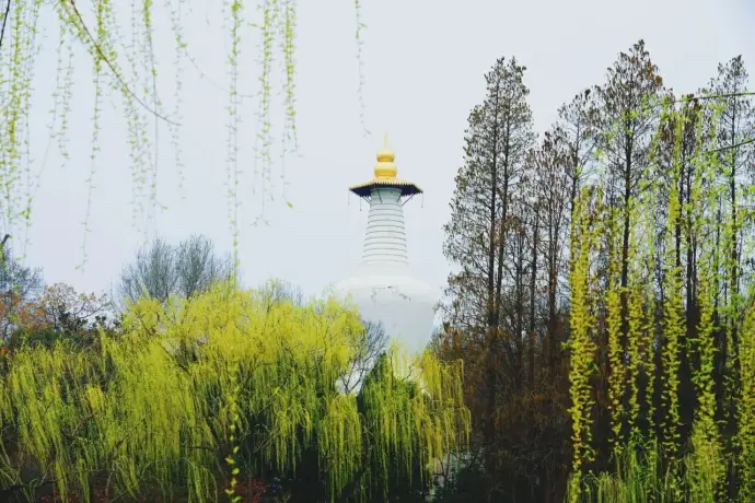 白塔