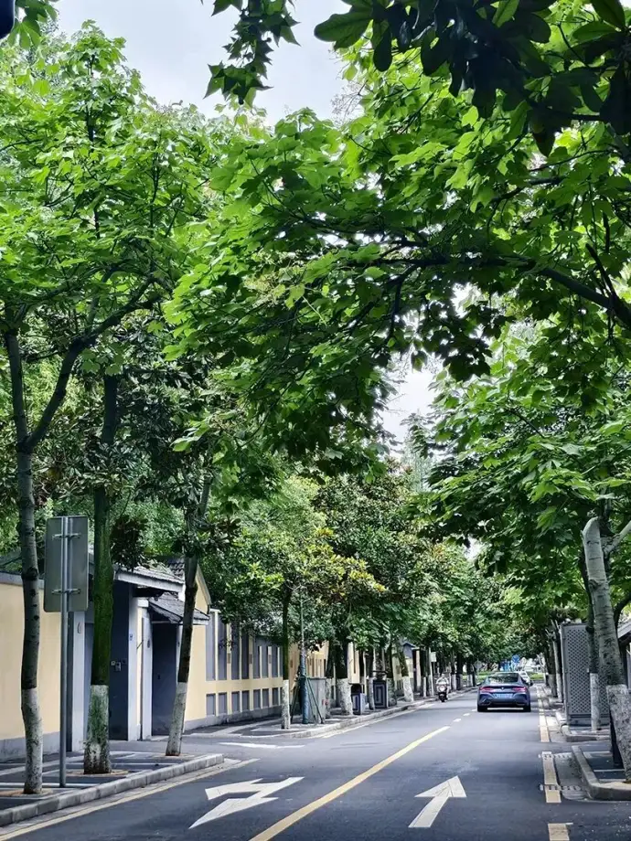 颐和路
