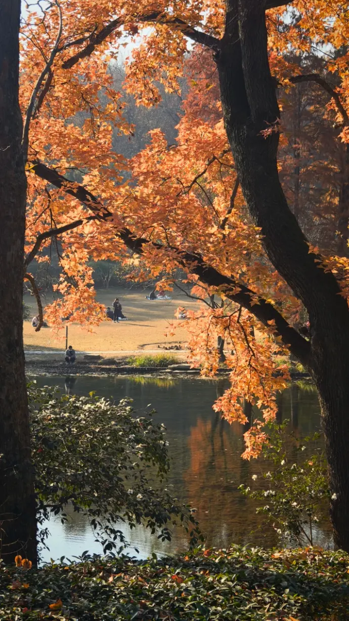 梅花山秋季