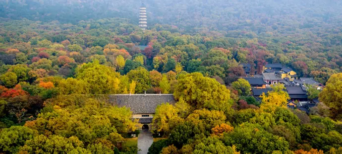 灵谷寺全景
