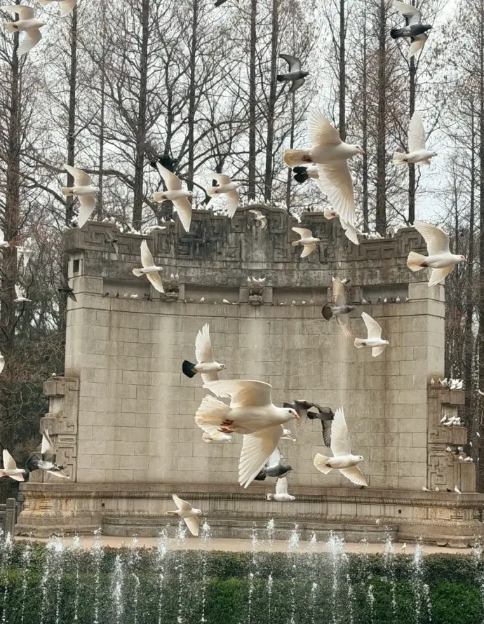 中山陵音乐台