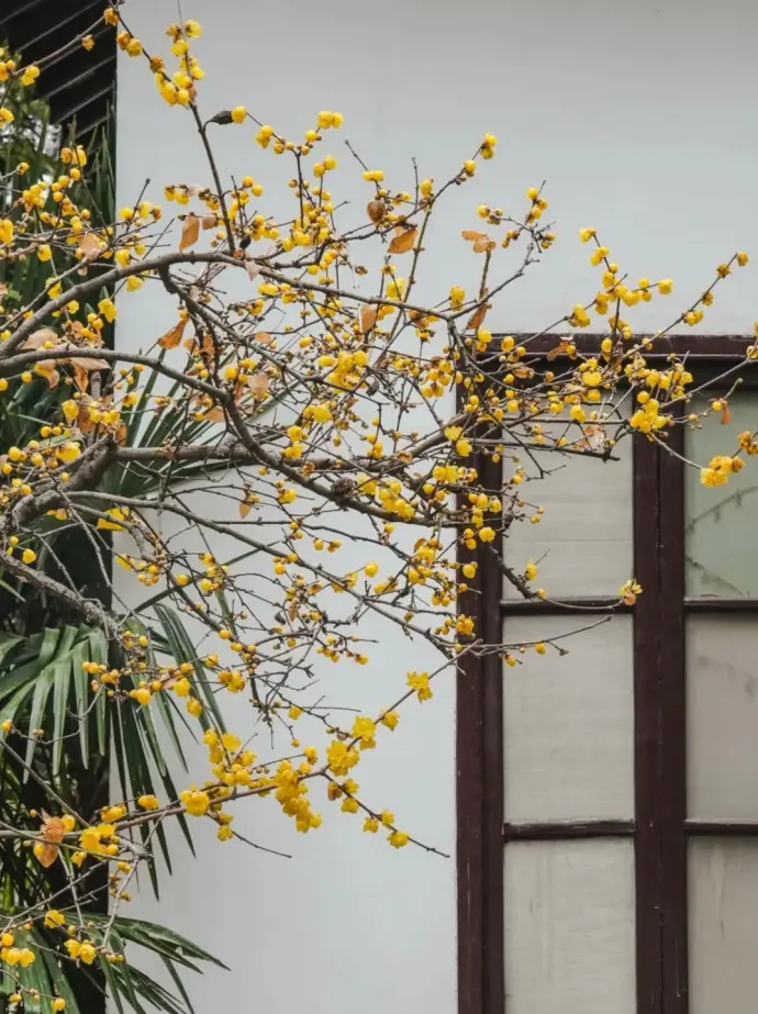 大明寺