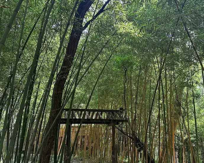 大明寺