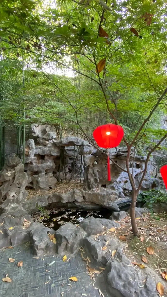 竹林