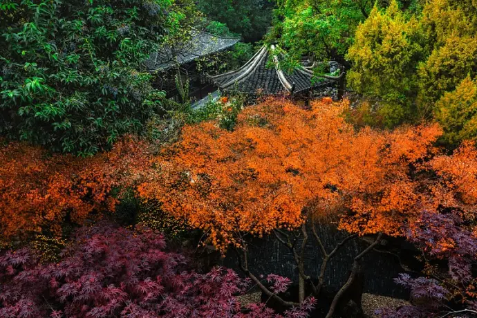 秋山