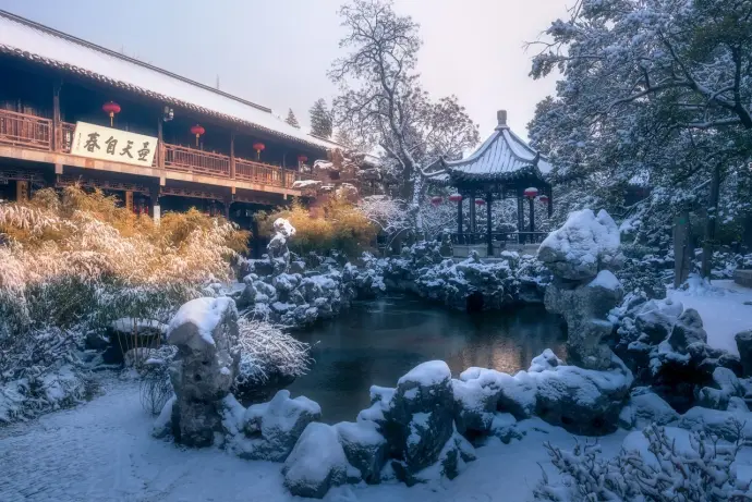 个园雪景