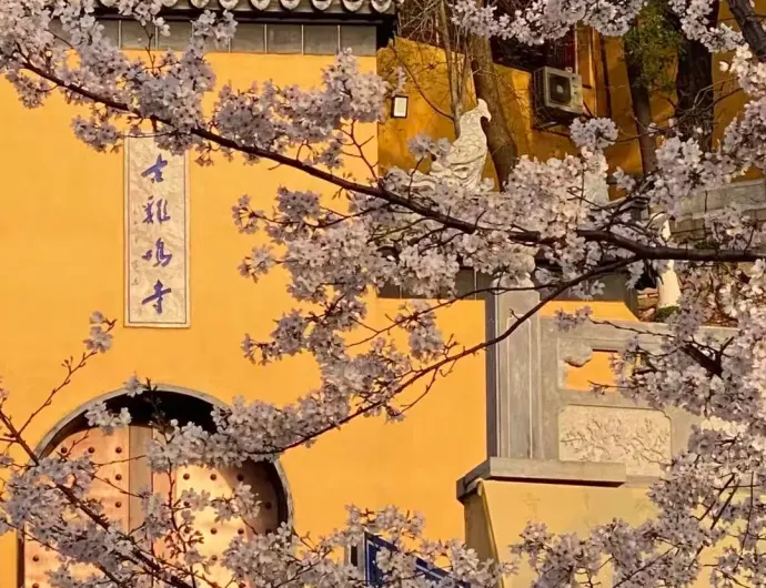 玄武湖