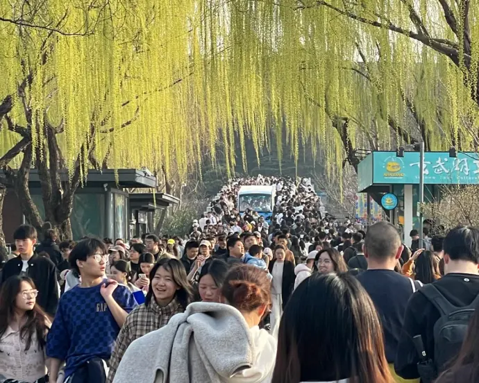 玄武湖