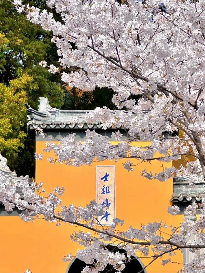 鸡鸣寺