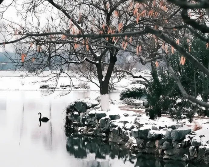 玄武四季