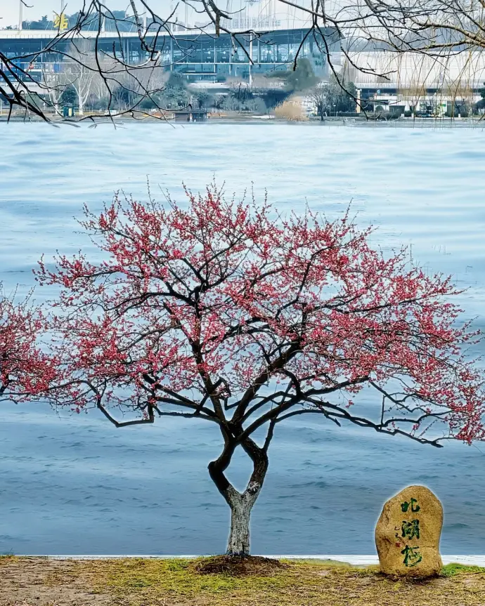 玄武亲子游
