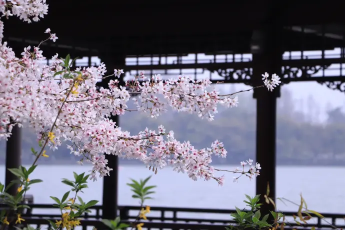 玄武四季