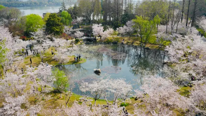 玄武四季