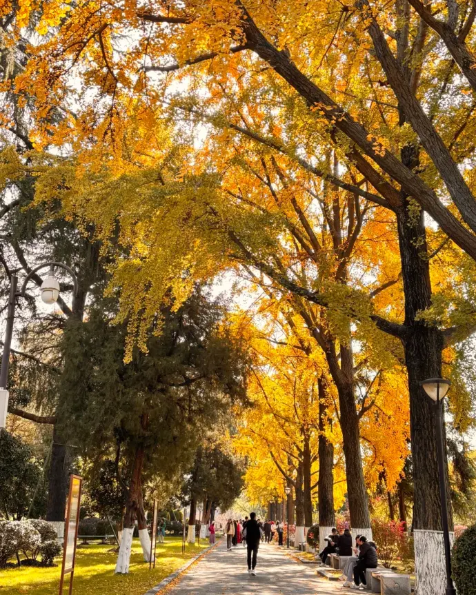 玄武四季