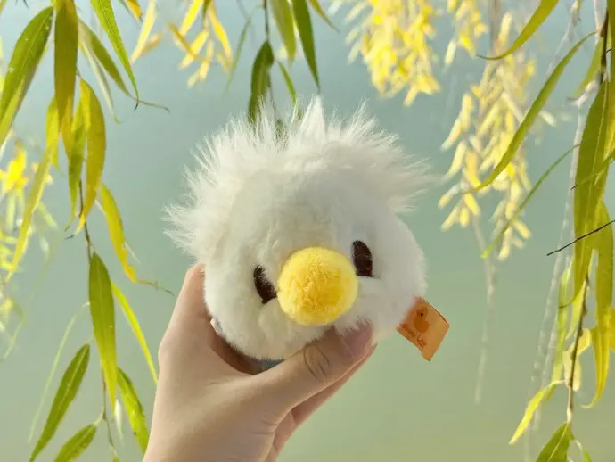 玄武亲子游