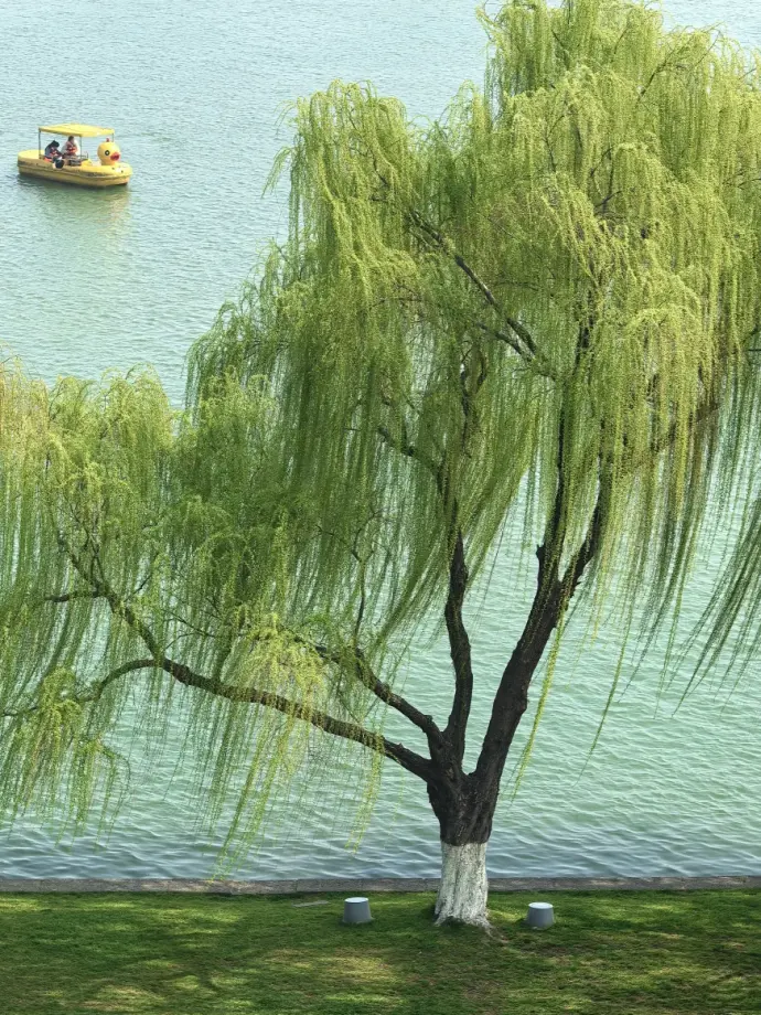 玄武湖