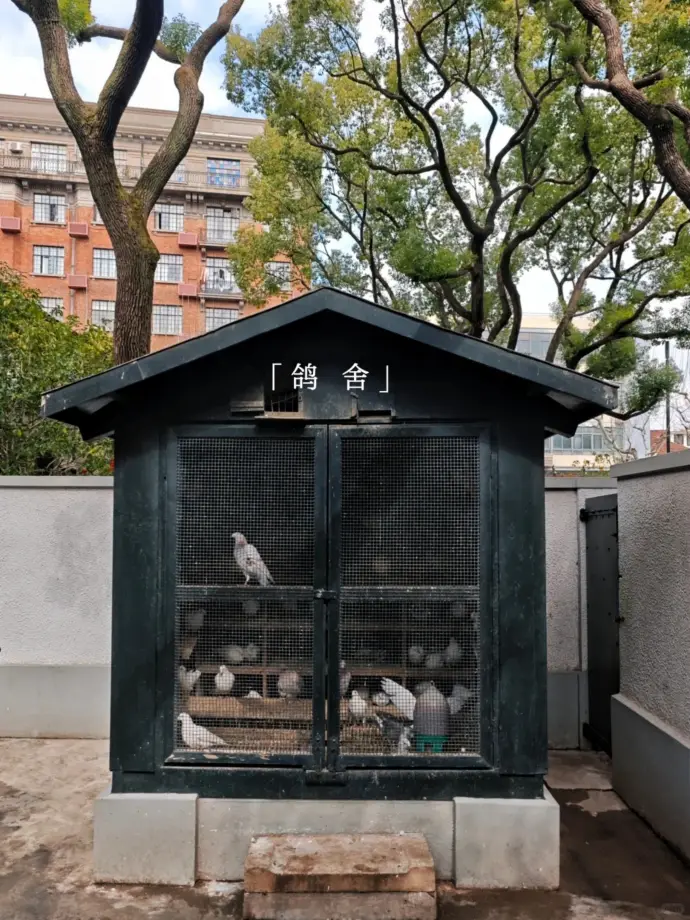 鸽舍