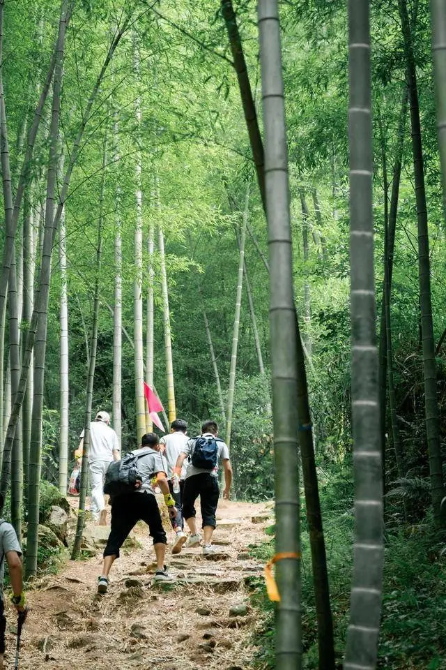 莫干山