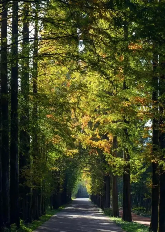 蒋公古道