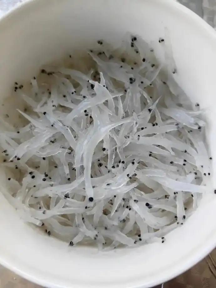 银鱼