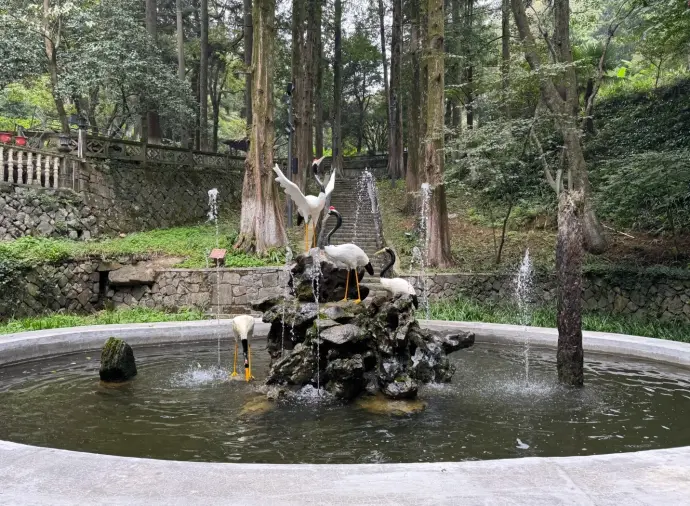 芦花荡公园