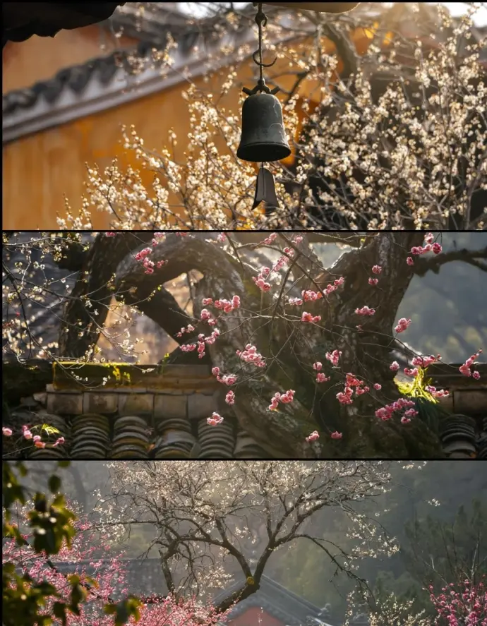 国清讲寺隋梅