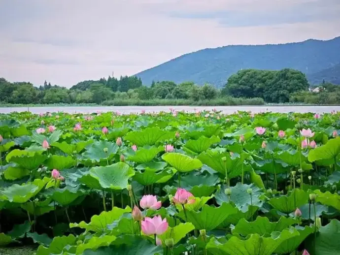 长田湿地公园