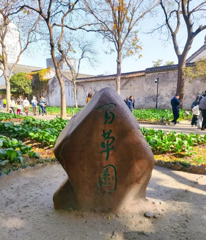 百草园