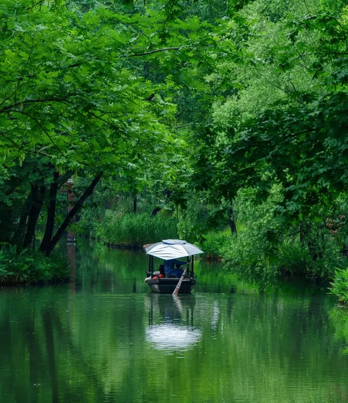 西溪湿地