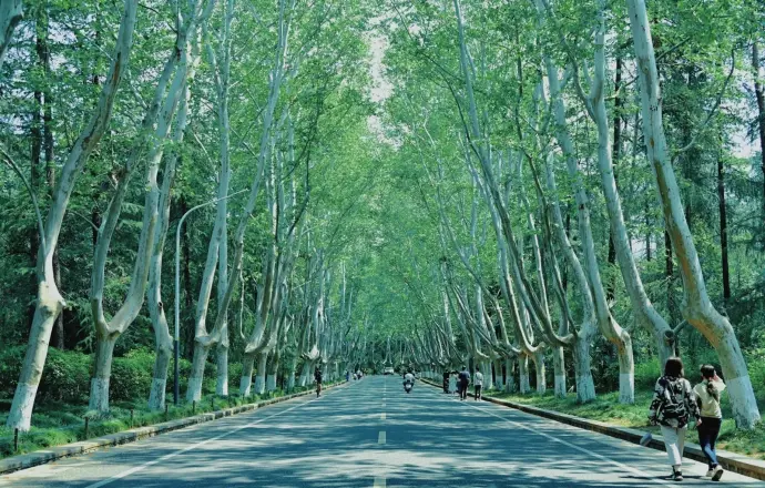 江苏南京