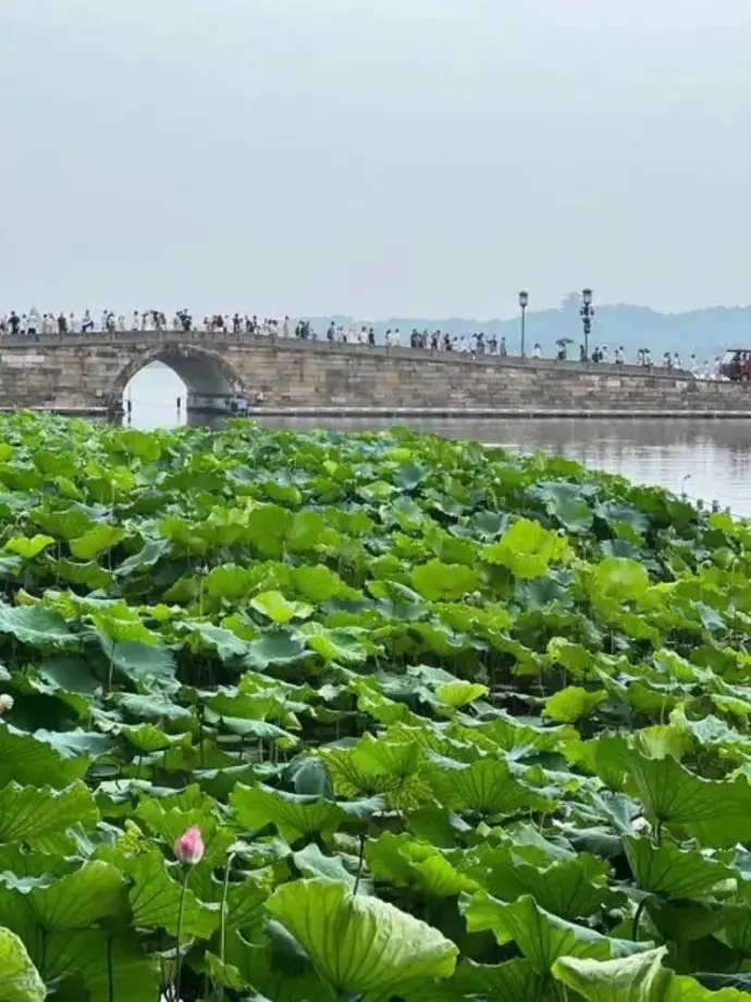 西湖断桥