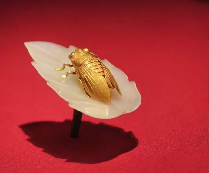 金蝉