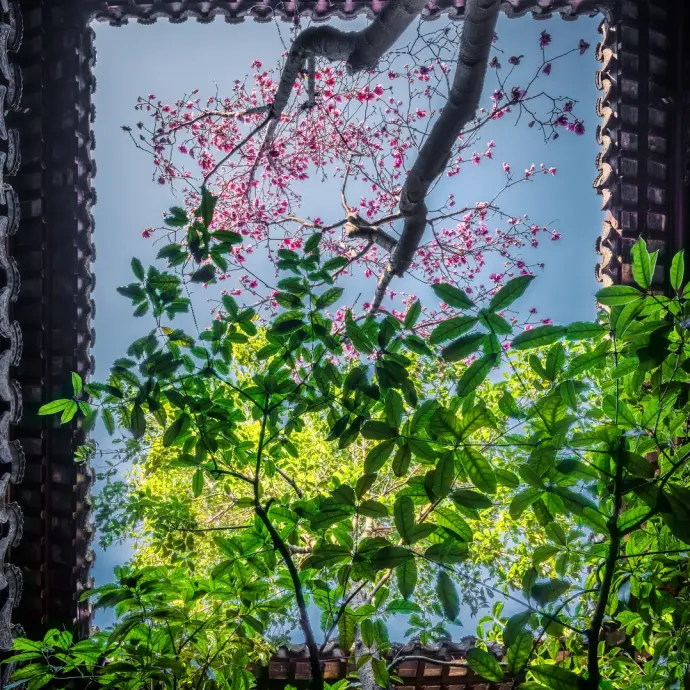 苏州