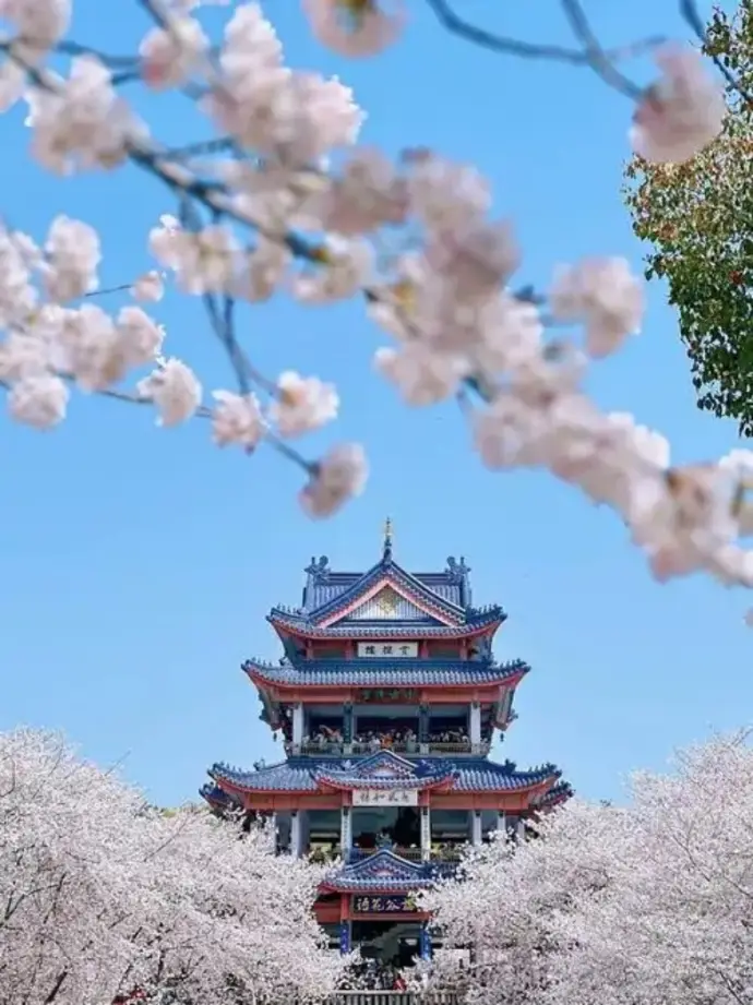鼋头渚