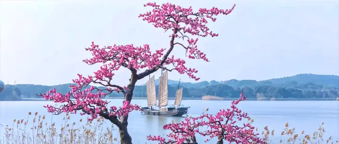 苏州