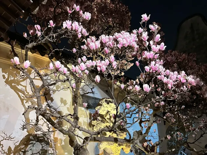 苏州
