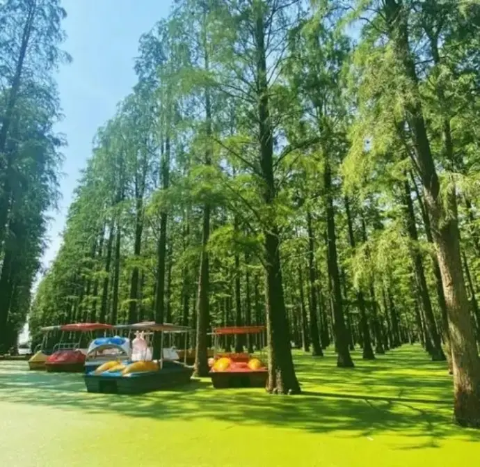 夏日
