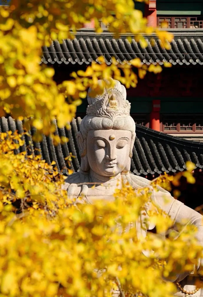 毗卢寺
