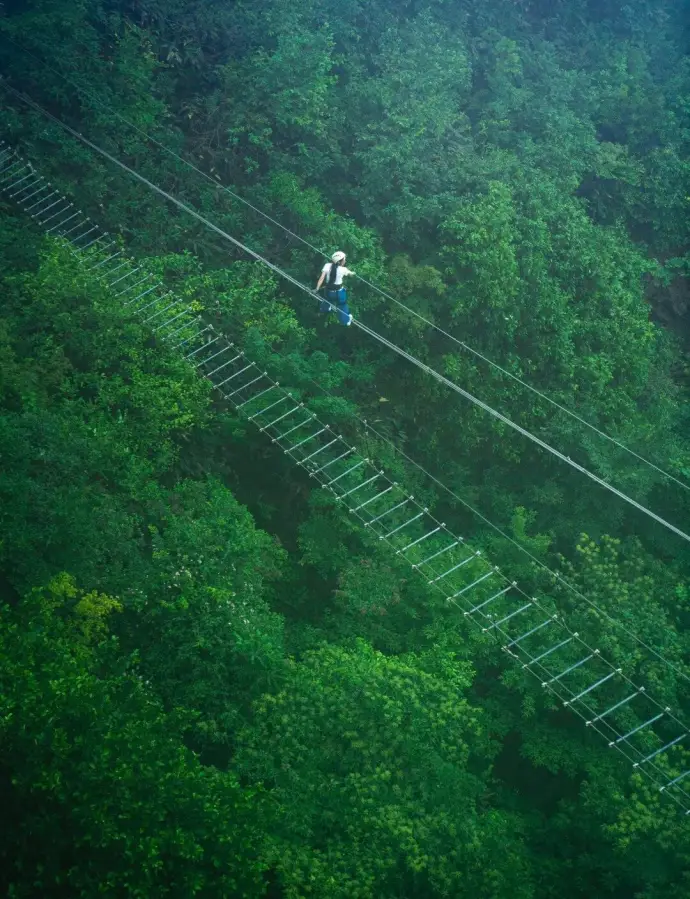 步步惊心