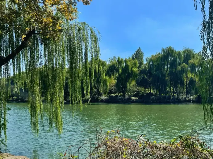 月河