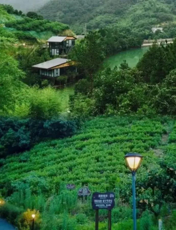 莫干山