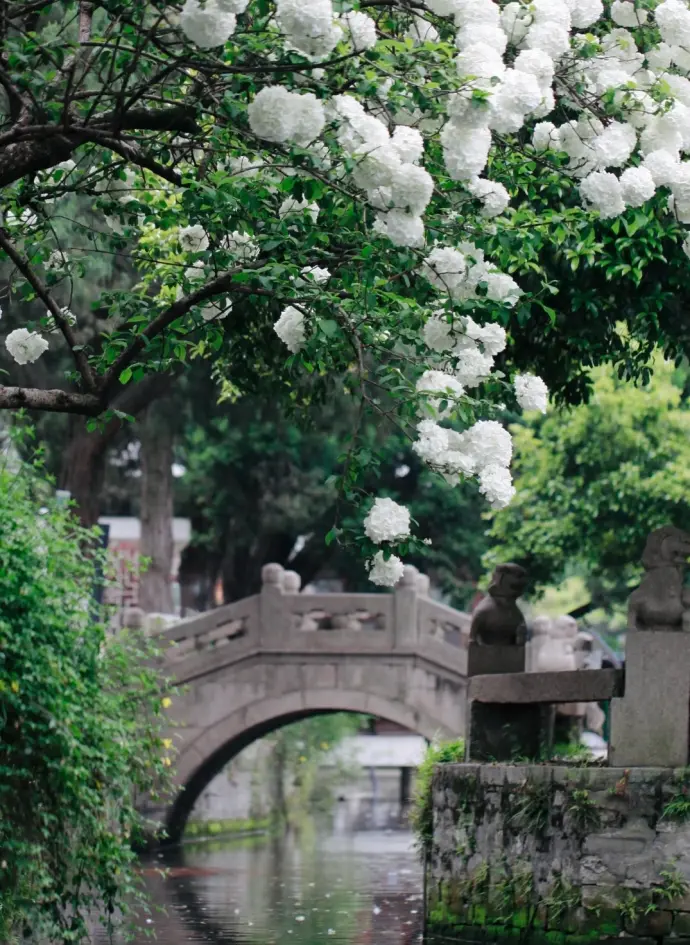 南京总统府